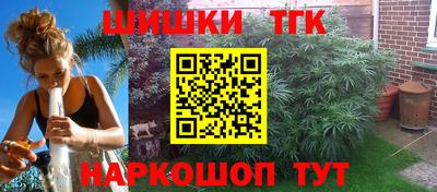 МДПВ Дубна