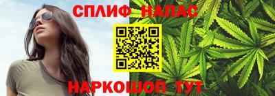 МДПВ Дубна