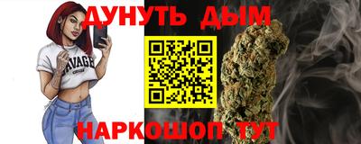 МДПВ Дубна