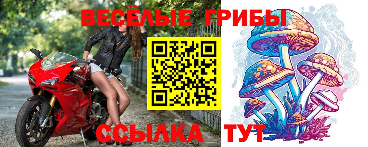 Галлюциногенные грибы Psilocybine cubensis  Псилоцибиновые грибы MAGIC MUSHROOMS  Вход с VPN  Волхов 